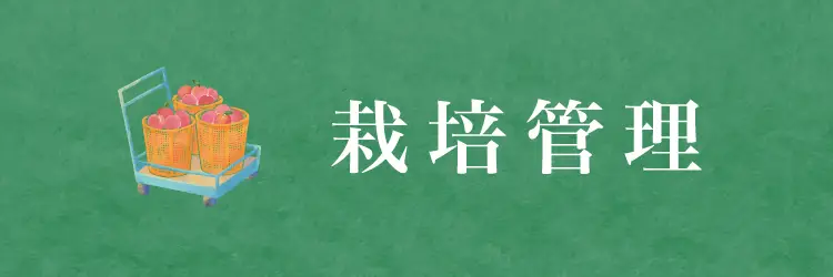 栽培管理